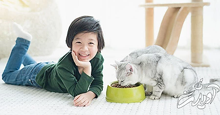 آشنایی با حکم شرعی نگهداری سگ و گربه در خانه, احکام دینی نگهداری از سگ و گربه در خانه, نگهداری از سگ و گربه چه حکمی دارد